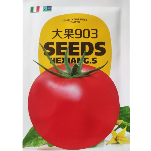 祁东县大果903番茄种子红色番茄西红柿种子高产水果大西红柿番茄种籽