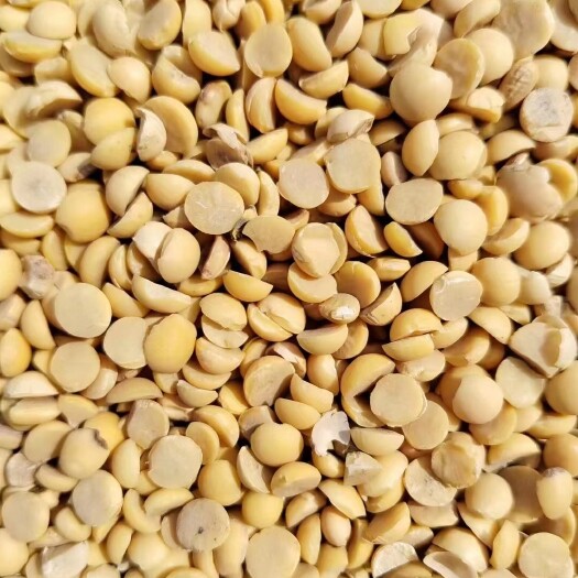 汶上县肥料黄豆肥黄豆碎黄豆养殖碎豆瓣种地水果蔬菜上地榨油轧饼豆