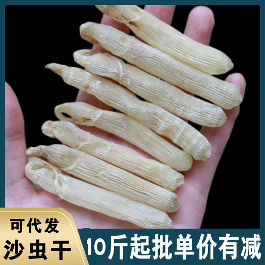 天然晒制北海沙虫干足干漂亮货被誉为“海洋虫草”高品质好营养高