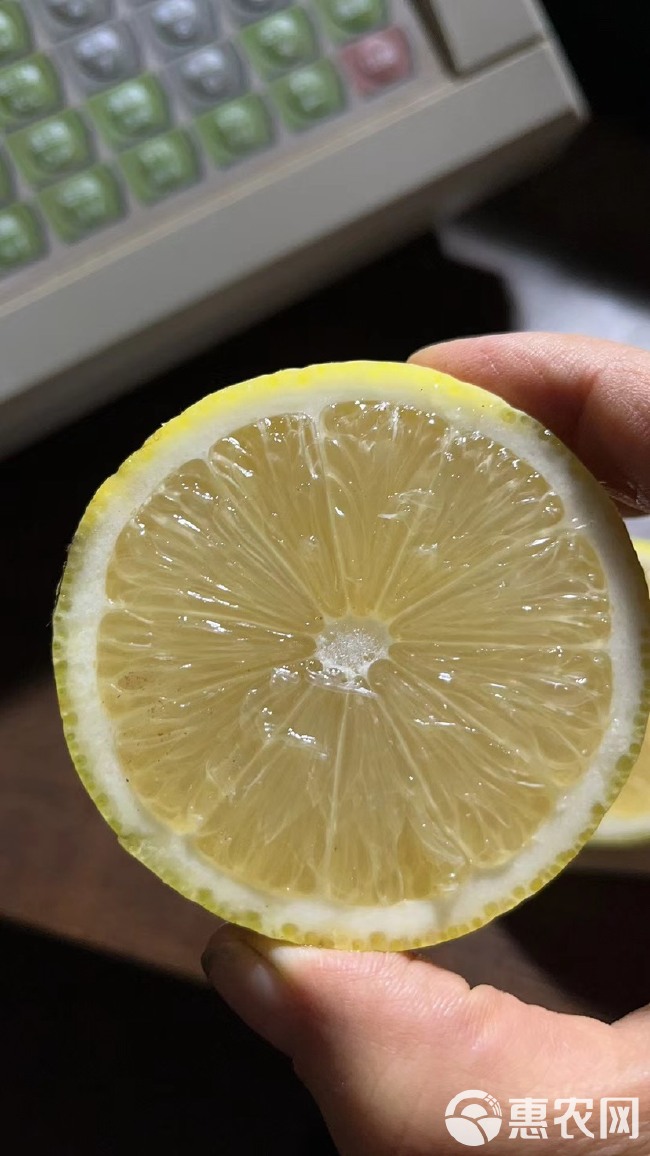 安岳无籽黄柠檬二三级级果产地直发全年可供货产地货源一手价