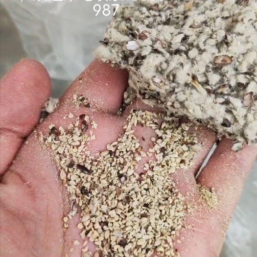 夏津县中壳长绒带仁带粉棉籽壳