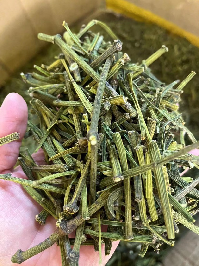 枫树寄生草螃蟹脚土特产泡水喝一手货源价格实惠