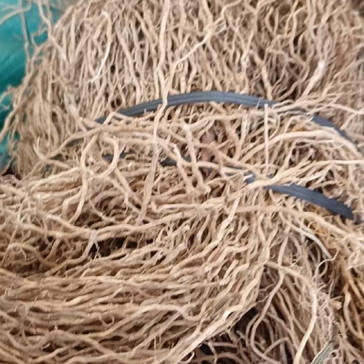 野生牛尾菜(本地客家话又名春根)