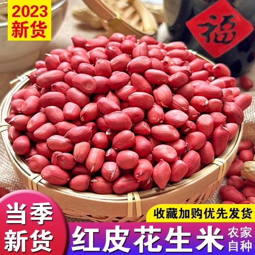 红皮花生米东北四粒红新鲜红衣大颗粒红花生米新货红皮花生