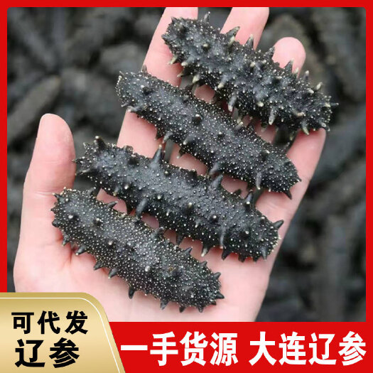 广州淡干辽参［包邮］海刺参高品质的海参淡干，足干泡头好 头数齐全