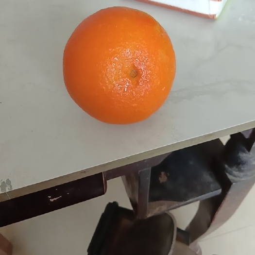 眉山爱媛橙
