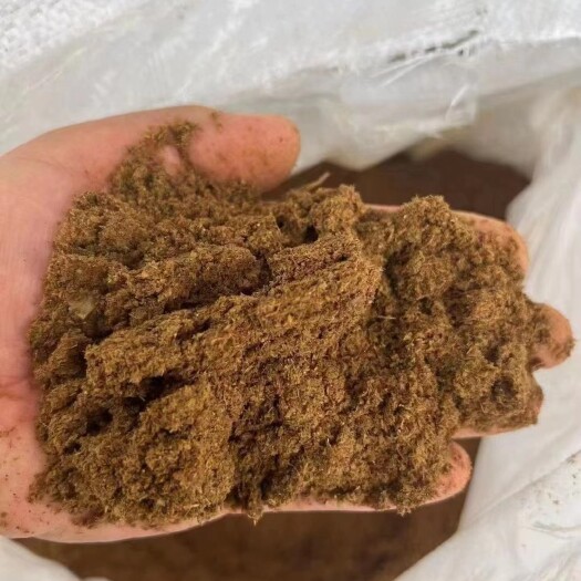 正定县餐厨粉 烘干工艺 蛋白脂肪36 味道浓香