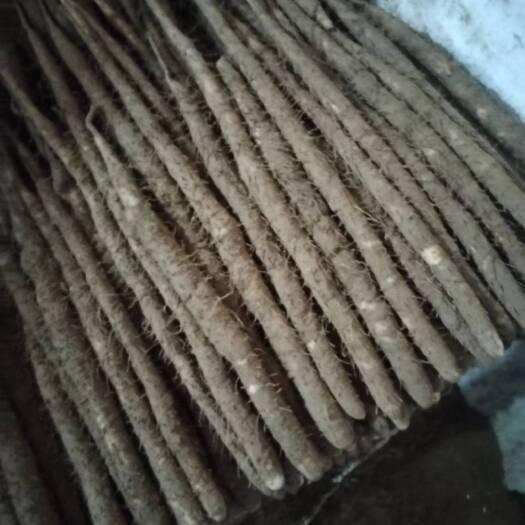 深州市河北深州小白嘴
