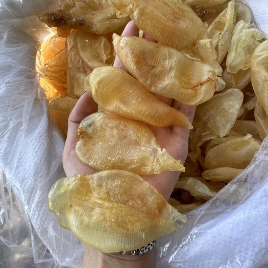 阳江5头黄花珍珠胶