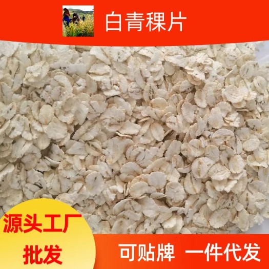西宁青海即食白青稞米片，500克罐装包邮，散装大量批发，破损包赔