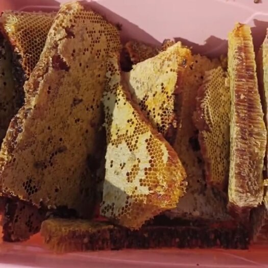 宁波纯正土蜂蜜，欢迎来产地直接拉货，可常年合作。