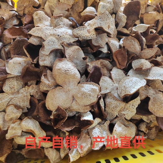 江门会天马柑皮 陈皮油胞子大 自产自销 产地直发