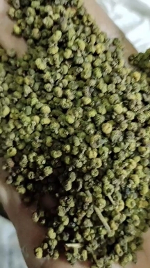 长沙吴茱萸