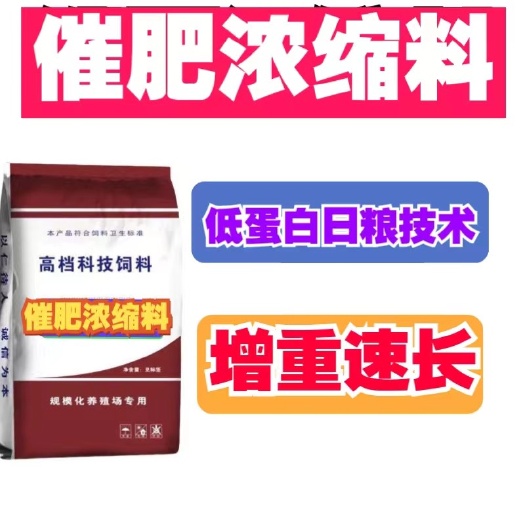 郑州猪用浓缩料催肥速长育肥专用小猪中大猪全程用方便配比厂里发货快