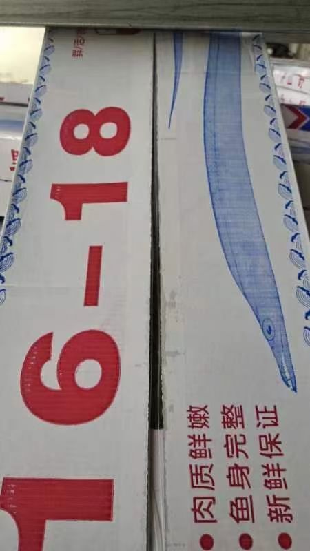 东海舟山优质带鱼