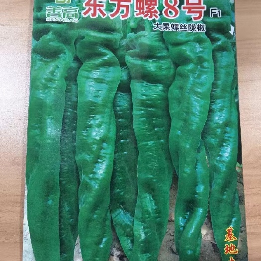 武汉东方螺8号螺丝椒种子