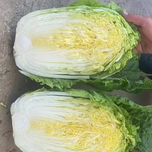 好菜多多欢迎老板来采购