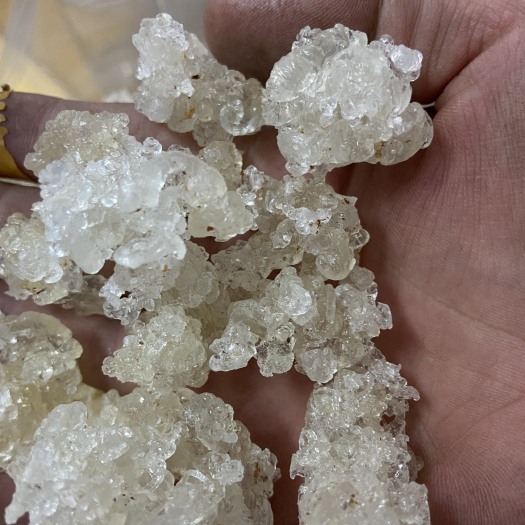 玉林拉丝雪燕