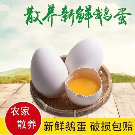上林县专业代发蛋类，鹅蛋代发，大 雁蛋100克左右