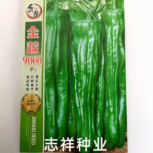 华容县金蔬9000辣椒种子早熟大果薄皮泡椒坐果能力强春秋大田蔬菜种