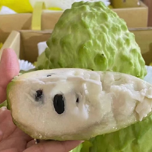 海南释迦果牛奶释迦新鲜当季水果顺丰包邮支持一件代发批发