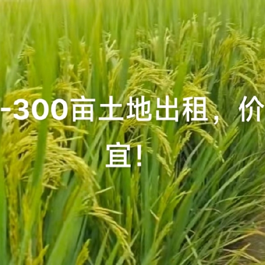 定远县土地出租