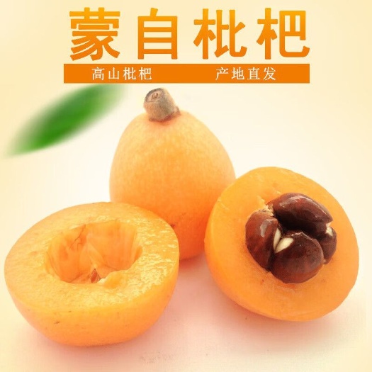 蒙自市【现货】云南蒙自枇杷10/2斤 ’五星长虹新鲜水果云南枇杷果