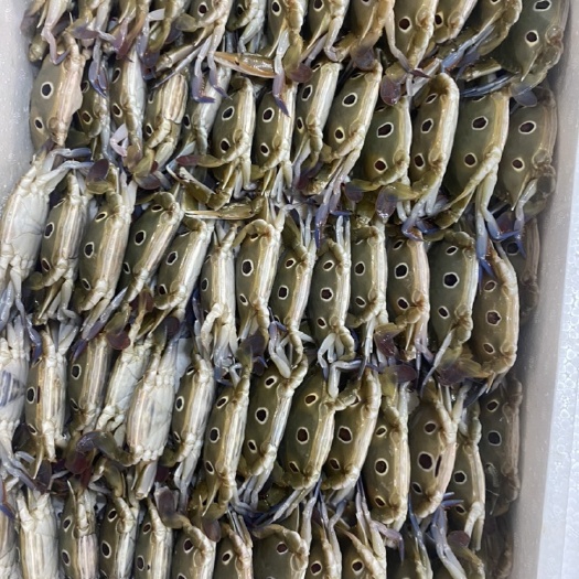 东山县三点蟹40/60