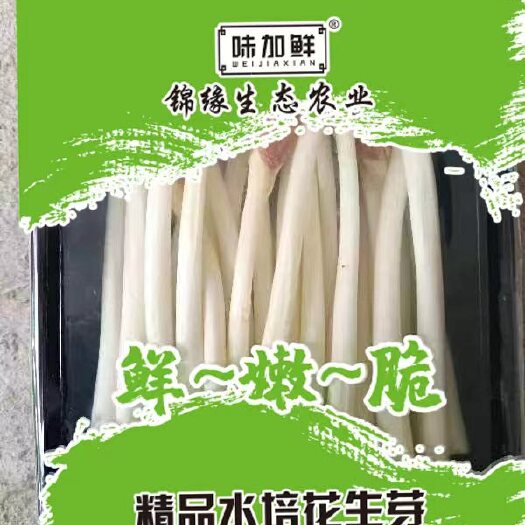 桐乡市芽苗菜水培生产基地