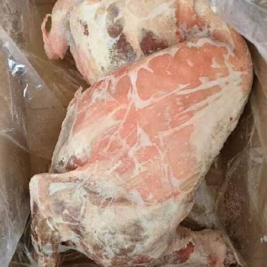 巴彦淖尔烤全羊