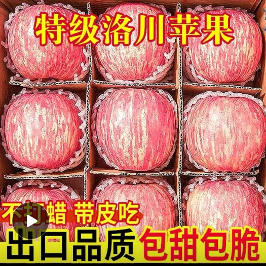 【供应链】陕西洛川今年新果新鲜红富士苹果脆甜多汁包邮