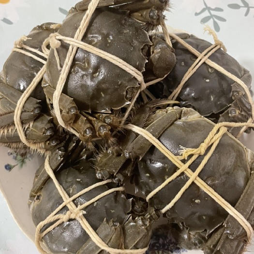 大闸蟹黄多肉多质量保障自己塘口直发