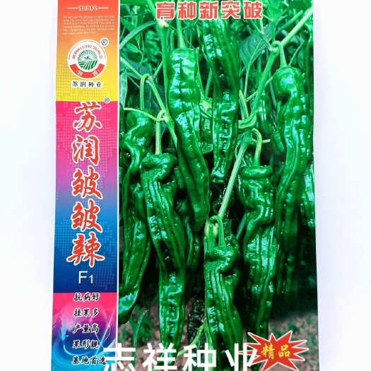 华容县苏润皱皱辣小皱皮辣椒青椒种子 特辣牛角椒薄皮 南方四季蔬菜种