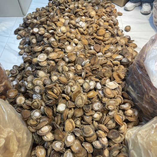 广州干鲍，南非鲍，溏心鲍，鲍鱼 最新货源信息