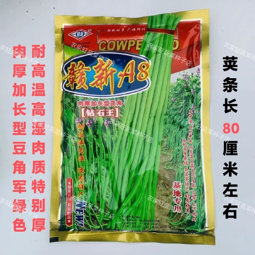 沭阳县豆角种子赣新A8豆角荚军绿色顺直肉厚加长型圆头圆尾优质豇豆种