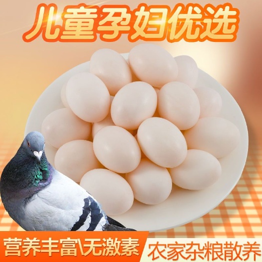 丰县鸽子蛋新鲜30枚顺丰包邮信鸽蛋白鸽蛋农家蛋杂粮宝宝辅食生