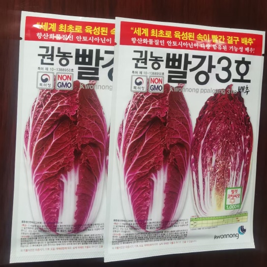 莱阳市韩国原包装紫白菜种子