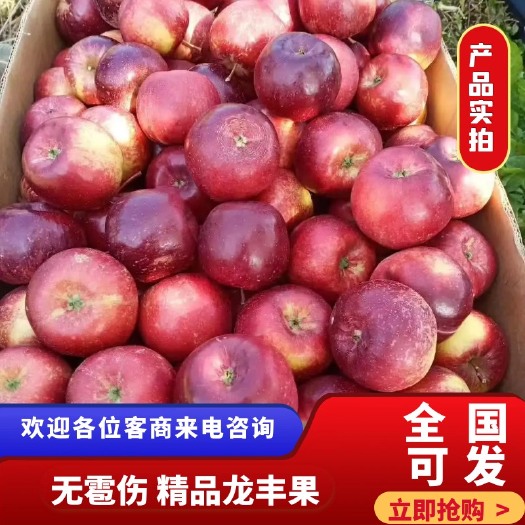 哈尔滨东北特产龙丰果大秋果沙果新鲜现摘酸甜可口冷库存放 大量批发