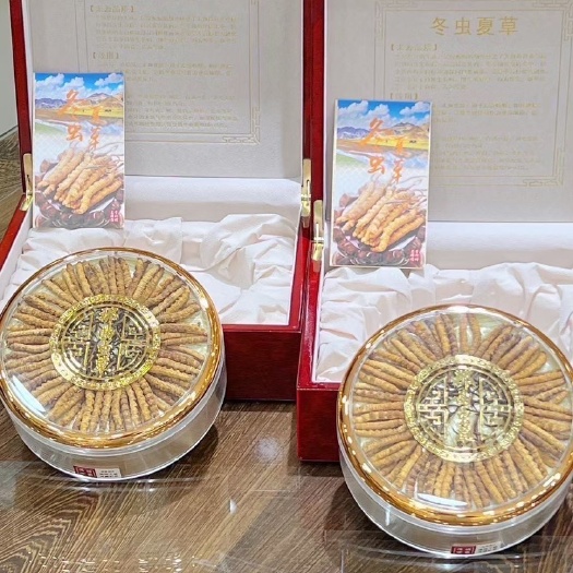 广州冬虫夏草 西藏那曲4000条公斤精选虫草20克无断草漂