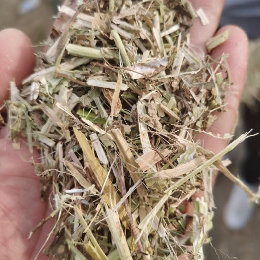 湘潭花生秧