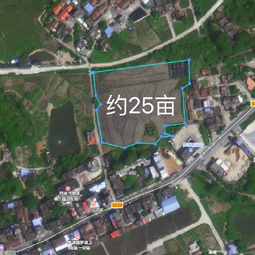 四会市四会罗源镇罗源村  基农出租，以种粮为主，防止非粮化。