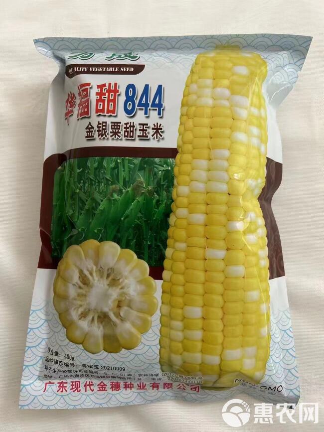 844双色甜玉米品种子，好品种，高品质，质量有保障，适