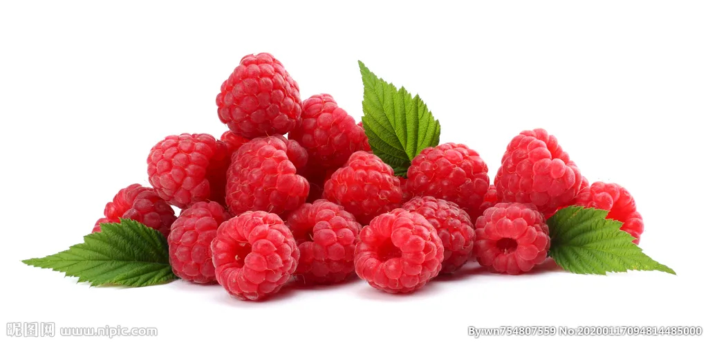 代县红树莓是一种营养丰富的水果，在世界上被誉为“黄金水果”