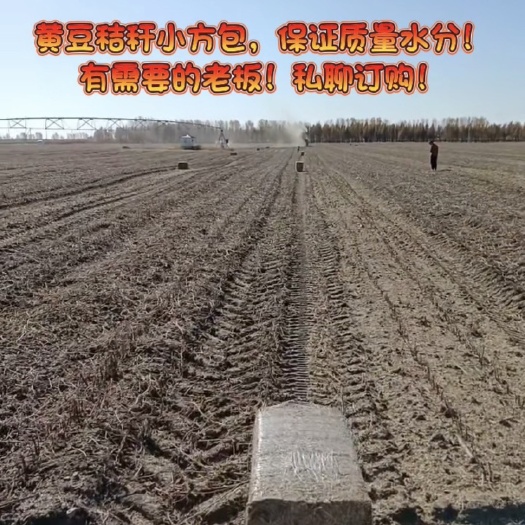 一手黄豆秸秆小方包
