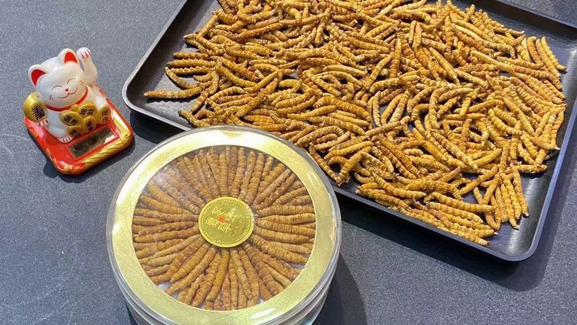 广州冬虫夏草 纯肉虫草 金黄肉身饱满都是整草快递中断的便宜卖