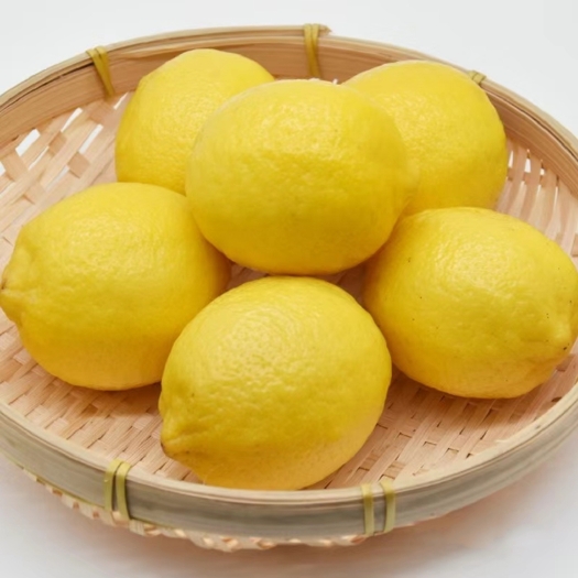 【新柠檬】安岳柠檬产地现摘现发皮薄多汁奶茶酒店市场均适用