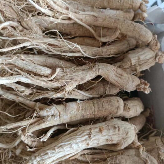留坝县西洋参 包邮