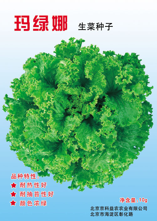 北京玛绿娜生菜
耐热抗抽苔散叶生菜