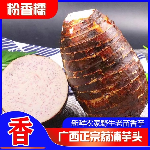 义乌市【9斤精选】荔浦芋头新鲜香芋头广西槟榔芋紫藤芋毛芋粉香糯