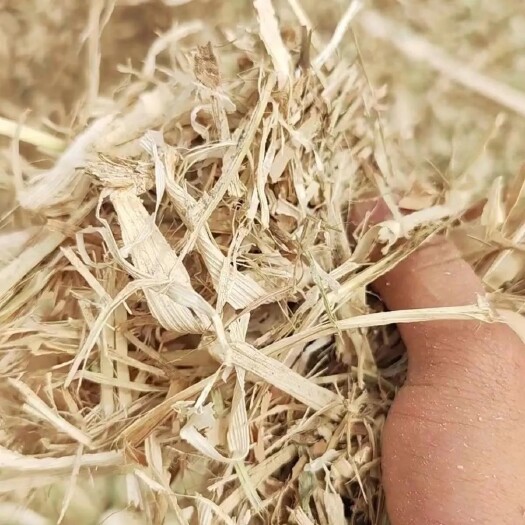 正阳县玉米秸秆干草牛羊马草料揉丝除尘草料（不包邮）